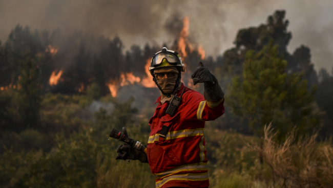 Portekiz'de 10 gündür süren orman yangınlarında 17 bin hektarlık alan yandı